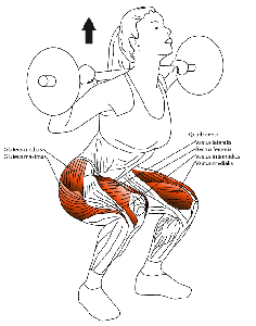 functional squat