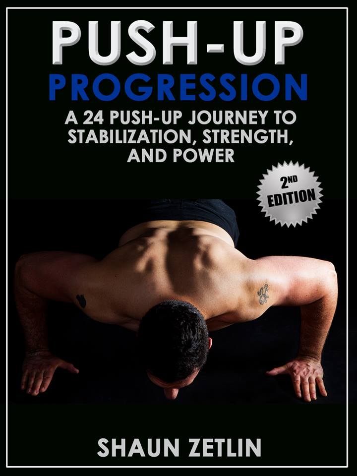 shaun zetlin-push-up progression